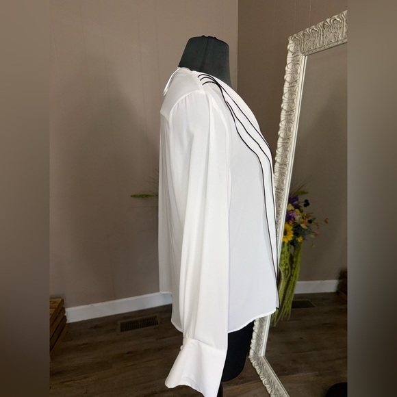 Zara • Long Sleeve Sheer Striped V-Neck Blouse - Picture 6 of 11